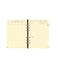 QVD Recharge Agenda Timer 21 Prestige