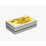 Stylo Bille Visconti Van Gogh 